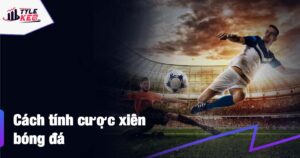 cược xiên bóng đá